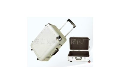 出行必備 拉桿箱購(gòu)買(mǎi)指南